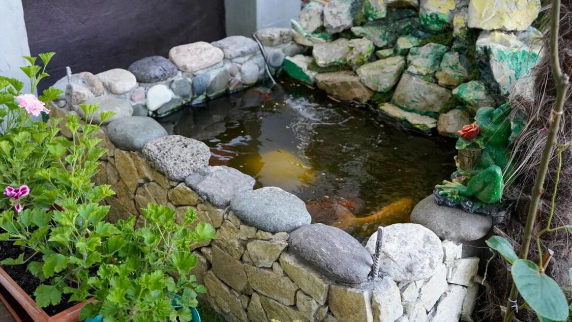 Вита Гагра Exterior foto