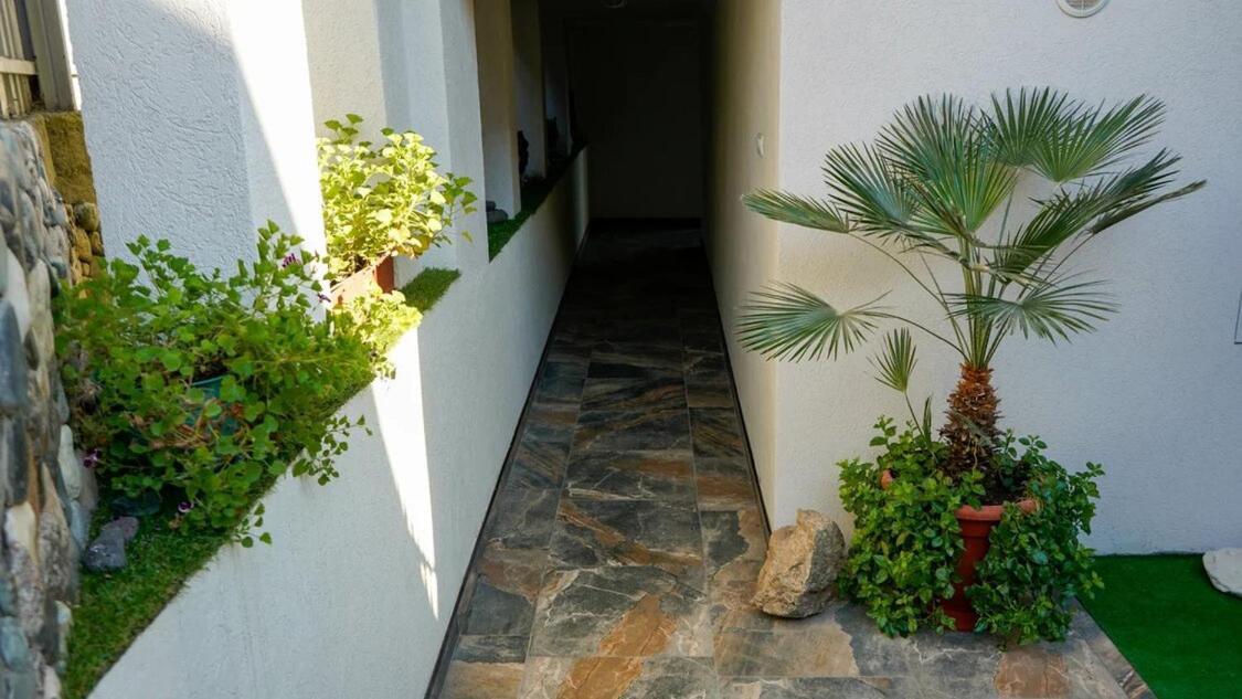 Вита Гагра Exterior foto